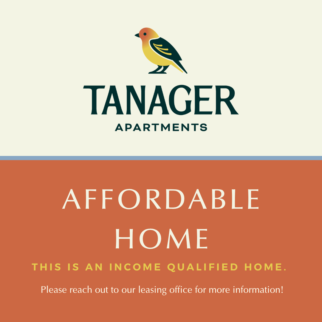 Open 1 Bed - O1 - Affordable